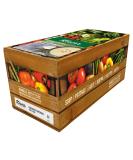 Knorr 100% Soup Cream of Chicken 4x2.5kg - Buy Online on GoSupps.com