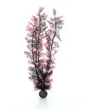 Buy Biorb 46075 XL Horn Coral - Dark Red Aquarium Decoration | Easy-to-Clean Natural Plastic for Freshwater & Saltwater - Buy Online on GoSupps.com