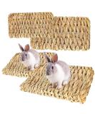 Roadloo Small Pet Grass Mat - 4 Edible Natural Grass Mats for Rabbits Guinea Pigs Rats Parrots & Ferrets | Safe & Fun Animal Toy - Buy Online on GoSupps.com