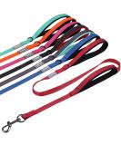 Vivaglory Traffic Handle Dog Leash - 1.8m Reflective Leash with Padded Handles & Metal Hook for Training - Durable Red Dog Leash - Buy Online on GoSupps.com