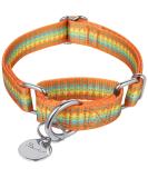 Dazzber Martingal Collars for Dogs | Adjustable Heavy-Duty Soft Smooth | Large/Small | 2.5cm Wide | Orange & Yellow - Buy Online on GoSupps.com