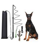 KOXXUD Dog Toy for Big & Small Dogs - Martin R tter Professional Charm for Fun & Exercise | International Shipping Available - Buy Online on GoSupps.com