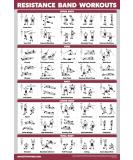 QuickFit Resistance Bands Workout Exercise Poster - Double Sided (Laminated, 18" x 27") LAMINATED 18" x 27 - Buy Online on GoSupps.com