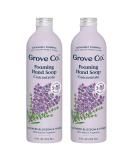 Grove Co. Hydrating Foaming Hand Soap Refills - Lavender & Thyme Scent (Pack of 2) | Cruelty-Free, Paraben-Free, Plastic-Free | Moisturizing Hand Wash - 24 Oz - Buy Online on GoSupps.com