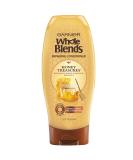 Garnier Whole Blends Repairing Conditioner Honey Treasures  Damaged Hair  22 fl  oz. Honey 22 Fl Oz (Pack of 1) - Buy Online on GoSupps.com