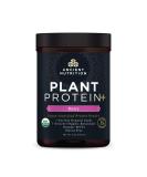 Organic Plant Protein Powder by Ancient Nutrition- Berry Flavor | Vegan Superfoods Supplement with 15g Protein | Gluten Free & Paleo Friendly | Perfect for Protein Shakes - 12 Servings - Buy Online on GoSupps.com
