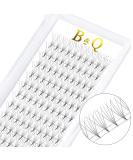 Shop 3D-D Eyelash Extensions - Pointed Base Volume Options & C/D Curl - International Shipping Available - Buy Online on GoSupps.com