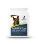 Advanced Probiotic Plus 5 Powerful Strains of Bacteria in a Prebiotic Inulin Base 2 Billion CFUs Per Tablet Plus Digestive Enzymes 120 Tablets UK Manufactured to GMP Standards - Buy Online on GoSupps.com