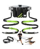 SHINE HAI Retractable Hands Free Dog Leash with Dual Bungees for 2 Dogs Adjustable Waist Belt Reflective Stitching Leash for Running Walking Hiking Jogging Biking Black - Green Green/Black For 2 Dog - Buy Online on GoSupps.com