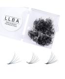 LLBA Promade Fans | Handmade Volume Eyelashes | Multi Selections From 3D To 16D | C CC D DD L M Curl | Thickness 0.03  0.1 mm | 8 - 20mm Length | Long Lasting | Easy Application (10D-0.03 CC 12 mm) - Buy Online on GoSupps.com