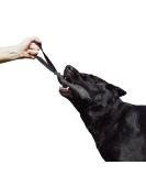 Dingo Gear Cotton Nylon Bite Sausage for Dog Training - IGP IPO Obedience Protection Sport - 20x7 cm Black (S00069) - Buy Online on GoSupps.com
