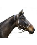 Kerbl Nylon Halter for Hippo | Pony Shetty & Cob Sizes | 6 Colors Available - Size 0 Brown - International Shipping - Buy Online on GoSupps.com