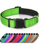 Joytale XL Reflective Dog Collar for Large Dogs Green | Durable & Safe | Pack of 1 - Buy Online on GoSupps.com