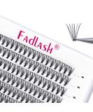 Premium 20D 0.07mm D Curl Individual Eyelash Clusters - 120PCs DIY Fadlash Eyelashes - 13mm | Shop Internationally - Buy Online on GoSupps.com
