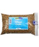 Wheat Grain - All Natural - 500g - Buy Online on GoSupps.com