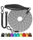Buy Aystkniet Bungee Tow Leash for Dogs - Shock-Absorbing Padded Handle Reflective Lockable Hooks - 3m to 20m Options for Medium & Large Dogs - Buy Online on GoSupps.com