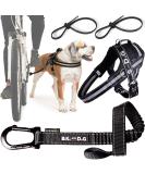 Shop Bike & Dog: Patented XL Black Dog Leash & Harness for Safe Biking Includes 3-Ring Dishes & Special Bridles - Perfect for Active Dog Owners! - Buy Online on GoSupps.com