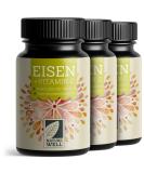 High-Dose Iron Tablets 3x180 - 40mg Vegan Iron Bisglycinate + Vitamin C from Rose Hips - Bioavailable No Additives - Buy Online on GoSupps.com