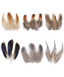 Larryhot Natural Pheasant Craft Feathers - 240 pcs 6 Style Mixed Feathers for Dream Catcher Supplies Jewelry Hats and Jewelry Accessories (Natural) - Buy Online on GoSupps.com