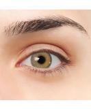 Barcelona VIP green contact lenses Super natural design with ring i annual lenses colored without strength (2 lenses) + contact lens container tweezers and onsetians with soft silicone - Buy Online on GoSupps.com