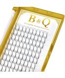 6D Eyelash Extensions - 0.07 D Curl 8-15mm Lengths | Fine Fan Volume Technology - Buy Online on GoSupps.com