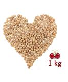 Cherry kernels loose 1 kg - Buy Online on GoSupps.com