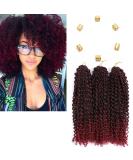 3 Packs Passion Twist Crochet Hair - 12 Inch Kinky Curly Braids for Short Marlybob - T1B/Bug Hair Extensions - Buy Online on GoSupps.com
