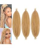 LPARMJIT Springy Afro Twist Hair Extensions - 24 Inch Kinky Marley Twist (Pack of 3) - Soft Butterfly Locs - 27/613 Color - International Shipping Available - Buy Online on GoSupps.com