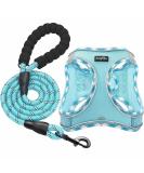 Haapaw Adjustable No Pull Dog Harness & Leash Set - Reflective Padded Vest for Extra Small to Medium Dogs (Turquoise 3.2-5 kg) - Buy Online on GoSupps.com
