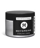 MEYSPRING Sterling Lining - True Metallic Pigment Powder for Epoxy Resin  Casting Resin  UV Resin - Resin Art Supplies - Pigment Powder Silver - Metallic Pigment Powder for Makeup - Silicone Pigment - Buy Online on GoSupps.com