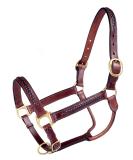 Tough 1 Royal King Braided Leather Halter, Brown , Horse - Buy Online on GoSupps.com
