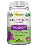 Forskolin 500mg Max Strength - 180 Capsules  Forskolin Supplement for 100% Pure Weight Loss Fuel  Coleus Forskohlii Root - Forskolin Diet Pills  Belly Buster Fat Burner 2X Slim Trim Lose - Buy Online on GoSupps.com