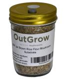 BRF Jars Brown Rice Flour Mushroom Substrate - Premium Fungal Growth Medium - Buy Online on GoSupps.com
