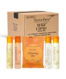 Terra Pure Wild Citrus Hotel Amenities Set - 300 Organic Paraben-Free 1oz Shampoo Conditioner Body Wash Lotion & Soap Bar - Ideal for International eCommerce - Buy Online on GoSupps.com