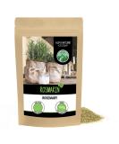 100% Pure Dried Rosemary 100g - Ideal for Spice Mixtures & Rosemary Tea - Buy Now! - Buy Online on GoSupps.com