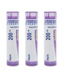Boiron Sepia 200Ck Homeopathic Medicine for Bloating and Lower Back Pain - Pack of 3 (240 Pellets) - 3 Count - Buy Online on GoSupps.com