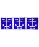 Swedish Dream Sea Salt Soap Set by Kala 4.3 Ounce (Pack of 3) - Buy Online on GoSupps.com