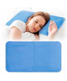 Bramble - large cooling gel pillow pillow insert for better sleep quality in hot weather 55x30cm - hot flashes migraines fever pain relief - leak -free - Buy Online on GoSupps.com