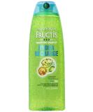 Garnier Fructis Hydra Recharge Shampoo 13 oz | Revitalize Normal to Dry Hair - International Shipping Available - Buy Online on GoSupps.com