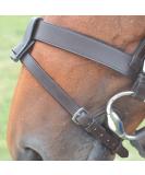 Shires Velociti GARA Flash Attachment Havana - Buy Online on GoSupps.com