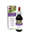 Buy Mary Thistle (Silybum Marianum) Non-Alcoholic Tincture 120ml Vegan Liquid Extract Drops | Dietary Supplement for Liver Health | International Shipping Available - Buy Online on GoSupps.com