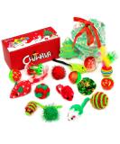 Chiwava 17 Pack Christmas Cat Toy Gifts Bag Set Assorted Toys Variety Pack Kitten Interactive Play - Buy Online on GoSupps.com