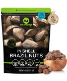 Raw Brazil Nuts In Shell - Whole Superior Quality (5 LB) - Fresh & Healthy Protein Snack - All Natural Keto Friendly & Vegan - 5 Pound Resealable Bulk Pack - Buy Online on GoSupps.com