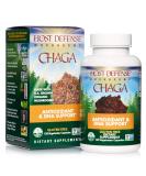 Fungi Perfecti Chaga Capsules - 120 Vegetarian Capsules for Immune Support - Buy Online on GoSupps.com