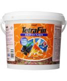 Tetra Goldfish Flakes 2.2lb Bucket - Balanced Diet for Aquarium Fish - Buy Online on GoSupps.com