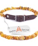 Amber Necklace for Dogs & Cats | Natural Tick & Flea Protection by Baltic Secret - Buy Online on GoSupps.com