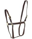 Rhinegold Nylon Halter for Ponies - Black/Red | Durable & Stylish Equestrian Gear - Shop Internationally! - Buy Online on GoSupps.com