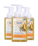 South of France Natural Body Care Foaming Hand Soap 8oz - Foam Hand Wash (Orange Blossom Honey 3 Bottles) Orange Blossom Honey 8 Fl Oz (Pack of 3) - Buy Online on GoSupps.com