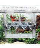 Fortune-Star Fish Breeding Box - Aquarium Hatchery Incubator & Breeder Tank - Buy Online on GoSupps.com