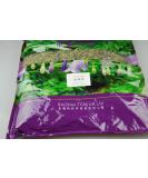 Herba Leonuri/Motherwort/YI MU CAO/ (100g) 100 g (Pack of 1) - Buy Online on GoSupps.com